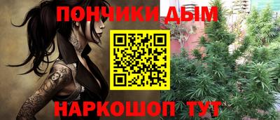 спиды Кингисепп
