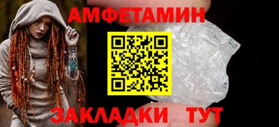 спиды Кингисепп