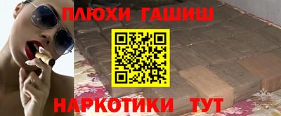 спиды Кингисепп